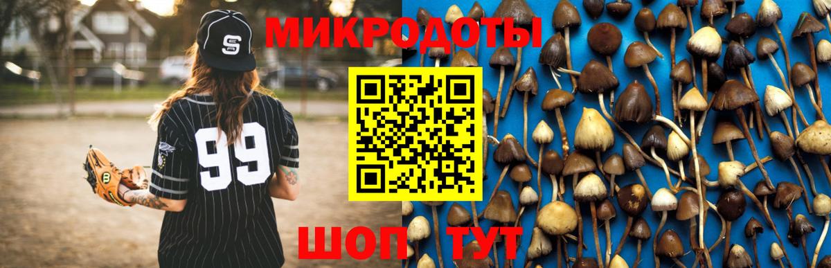 Псилоцибиновые грибы Cubensis  Псилоцибиновые грибы Psilocybe  Ангарск  Вход с VPN 